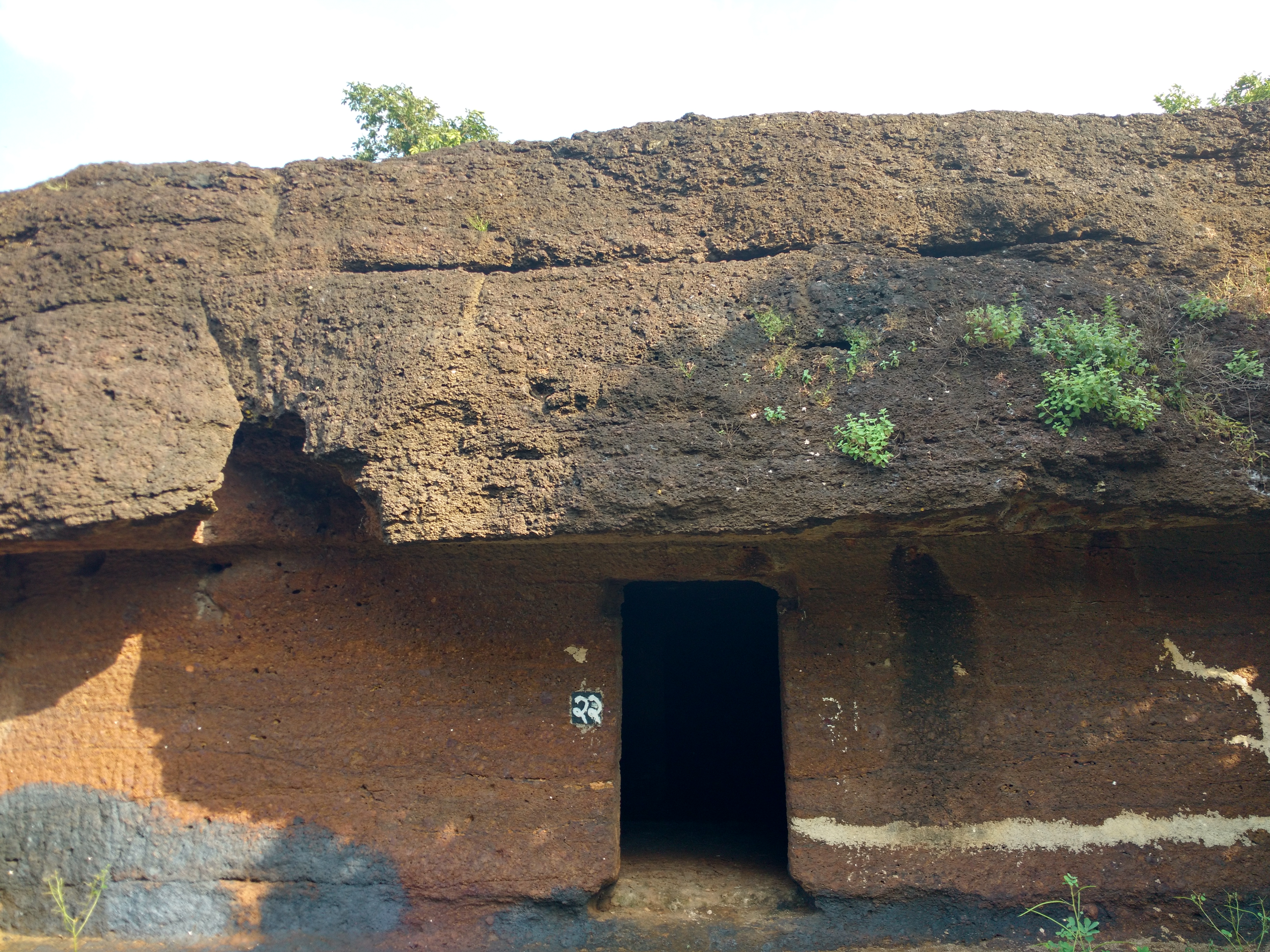 pola-dungar